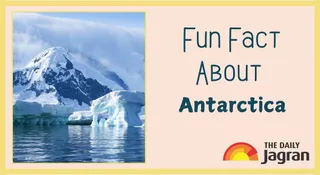 Did You Know 90% Of The World's Freshwater Is Locked In The Antarctic Ice Sheet? Here’s The Surprising Fun Fact
