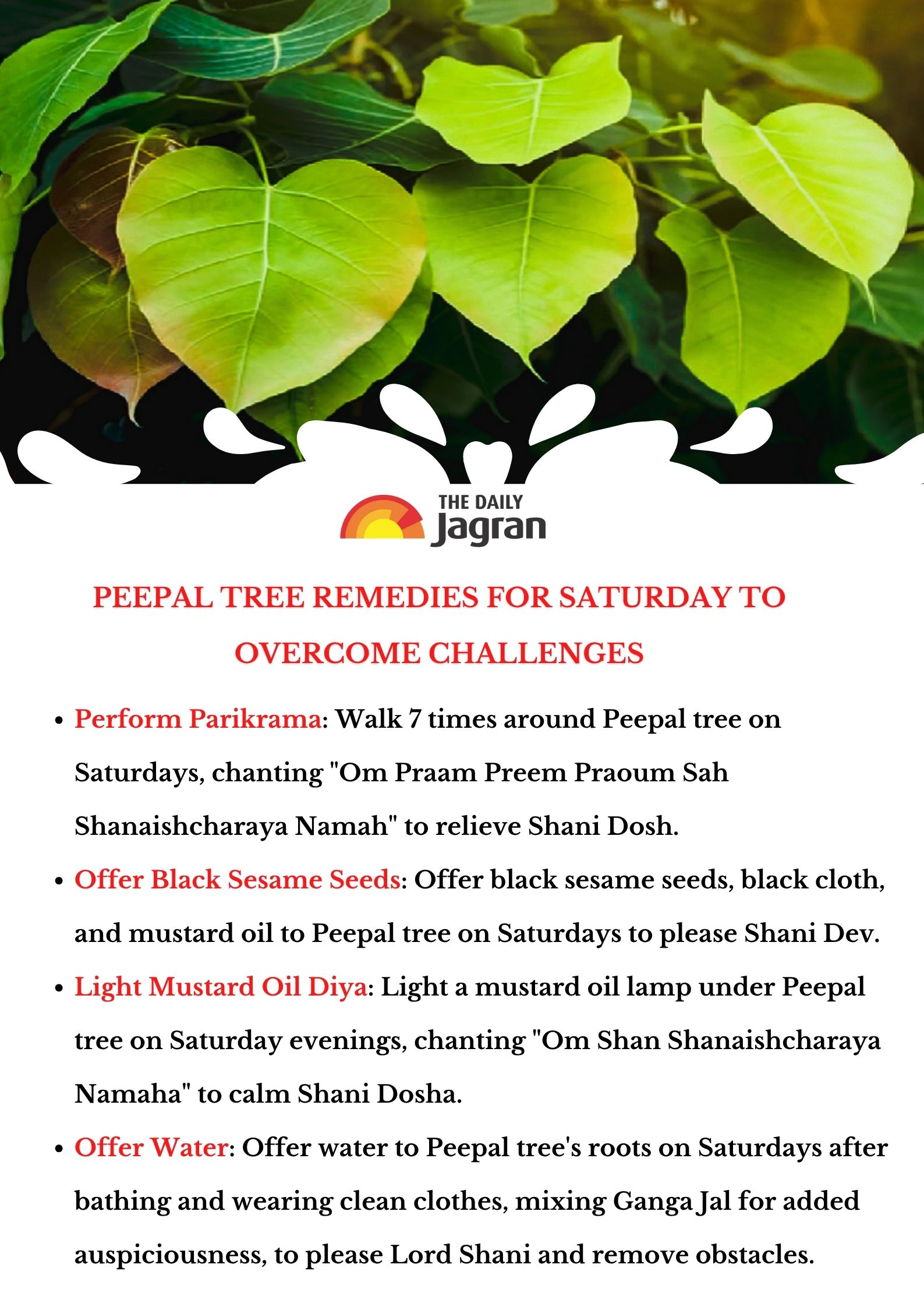 peepal-tree-remedies-upay