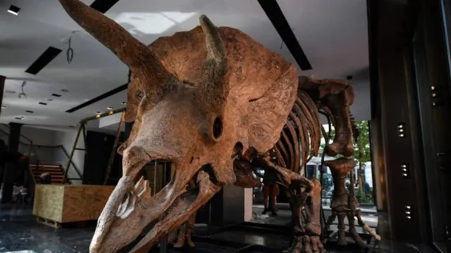 fossil-of-threehorned-dinosaur-found-in-ups-saharanpur