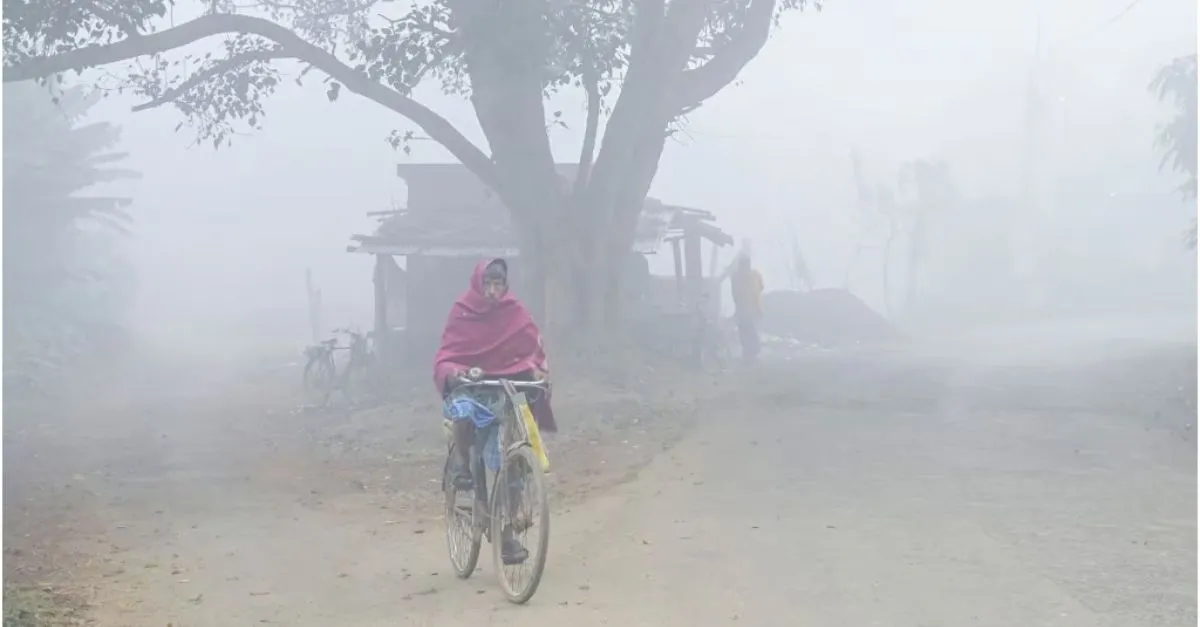 Bihar Weather: Mercury Drops In 20 Districts; Patna's Maximum Temp Falls To 28.4 Degree Celsius | Check IMD Forecast