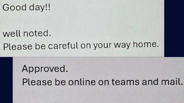 employee-compares-indian-and-japanese-bosses-replies-on-leave-request-viral-post-sparks-debate-on-workplace-culture