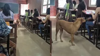 ‘Dogesh Bhai’ Crashes Delhi University Class, Internet Bursts Out Laughing Saying ‘Jaanch Krne Aaya Hai’ | VIDEO