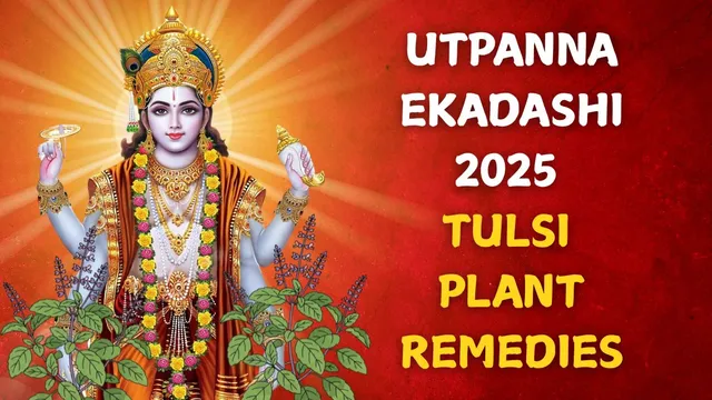 utpanna-ekadashi-2025-do-these-5-powerful-tulsi-plant-remedies-to-please-lord-vishnu