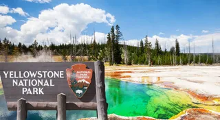 Which Is The World's Oldest National Park? Know More About This Picturesque Place In Wyoming