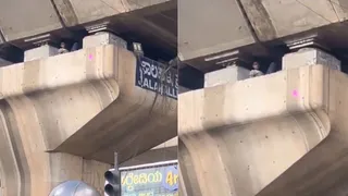 Bengaluru Man Found Sleeping Inside Flyover Pillar, Police Reacts As Video Goes Viral