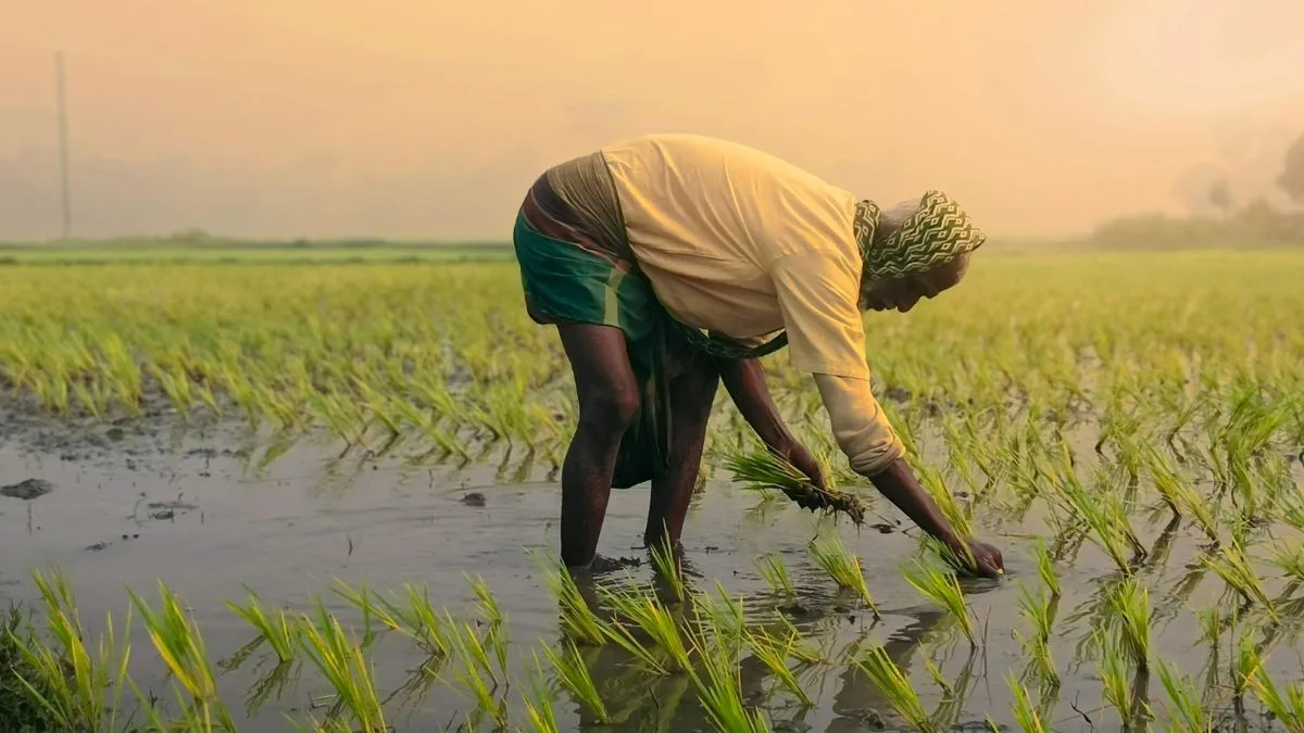 PM Kisan Yojana 21st Instalment: Over 11 Crore Farmers To Receive Next ...