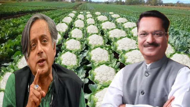 shashi-tharoor-rassam-ministers-gobi-farming-post-creates-outrage-shashi-tharoor-and-gaurav-gogoi-bhagalpur-massacre-bihar-poll-victory