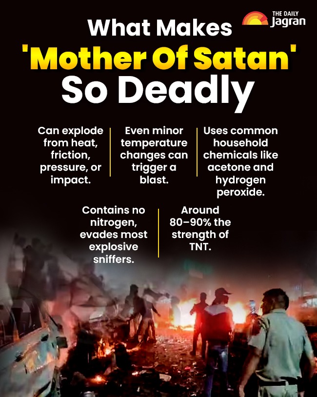 WhatsApp Image 2025-11-16 at 12.55.49 PM