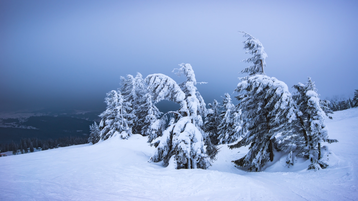 World lowest temperature ever recorded.