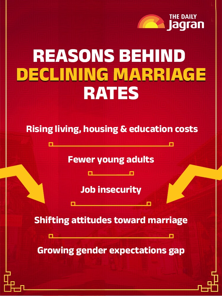 WhatsApp Image 2025-11-18 at 2.44.42 PM