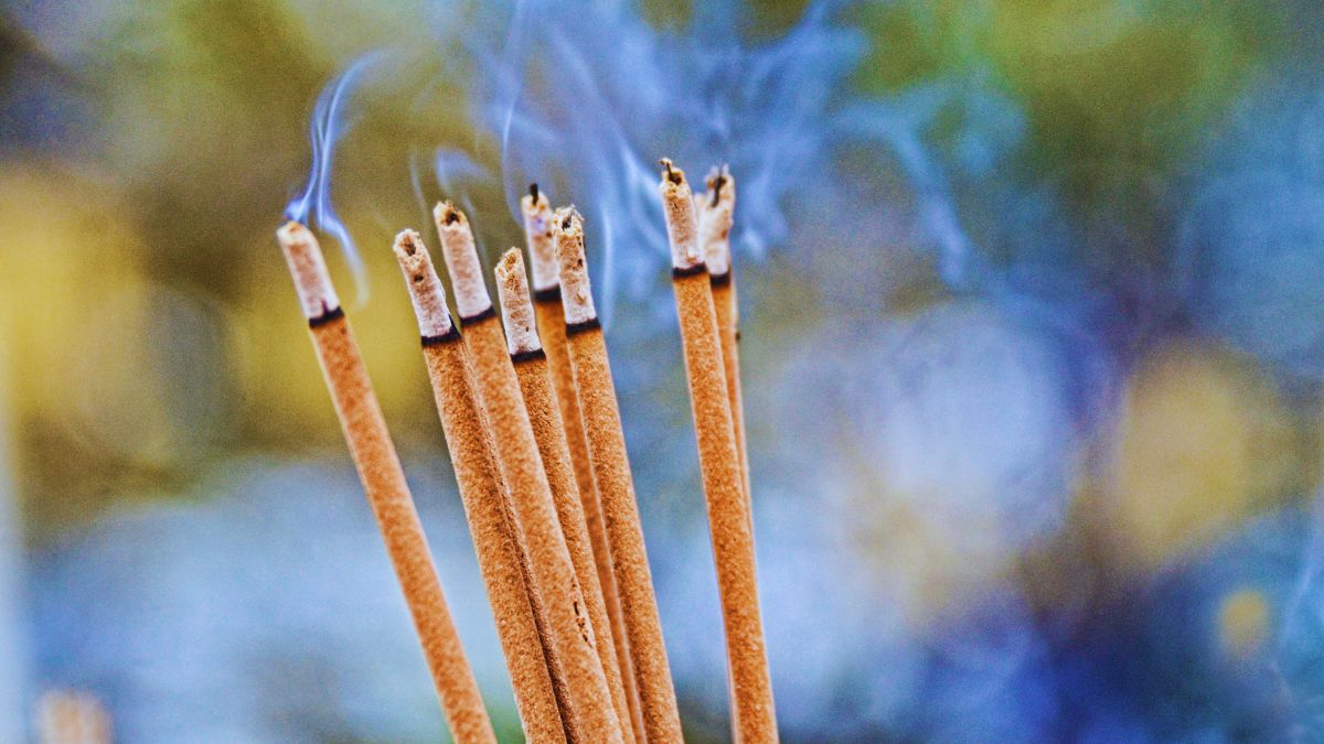 amavasya-20-november-2025