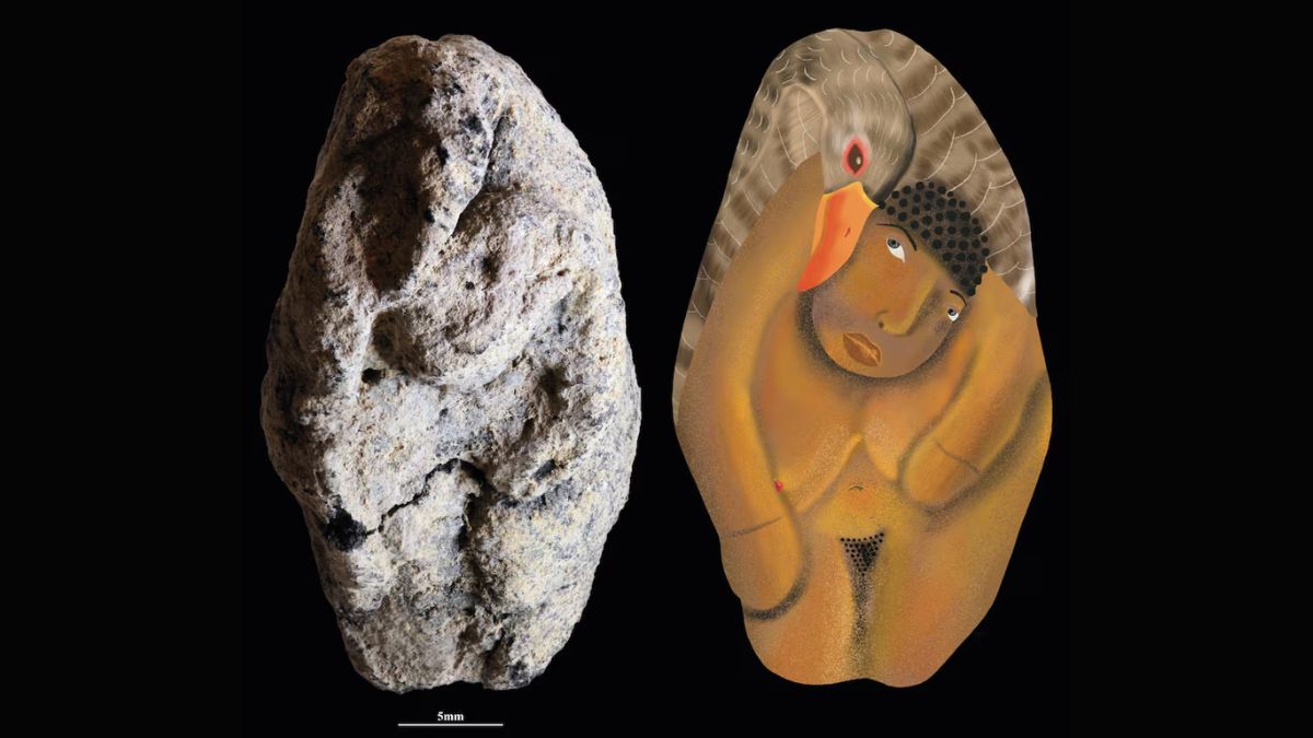 image.jpg - 2025-11-18T155907.726