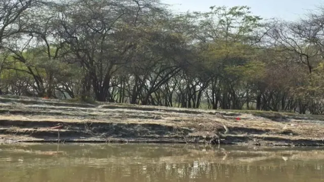 delhi-southern-ridge-declared-reserved-forest-4080-hectares-get-legal-protection