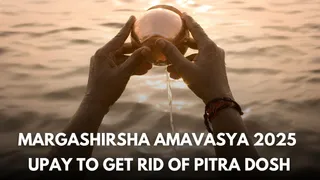 Margashirsha Amavasya 2025: Do This Easy Remedy To Get Rid Of Pitra Dosh And Ancestral Curse