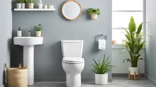 Beyond Toilets: How India Is Redefining Cleanliness and Dignity