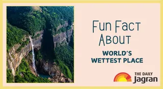 Do You Know India Has The World’s Wettest Place? Here’s The Fun Fact