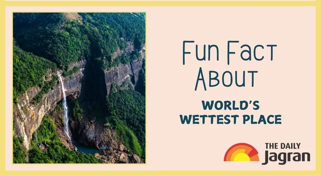do-you-know-india-has-the-world-wettest-place-here-the-fun-fact