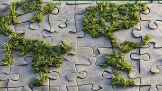 Wordle November 20: Smart Hints, Easy Clues And Today’s Five-Letter Mystery Explained