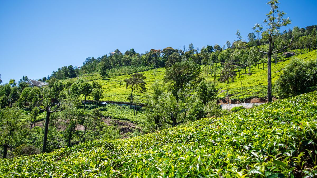 10 indian cities with cleanest air having AQI around 50 all year  (4)