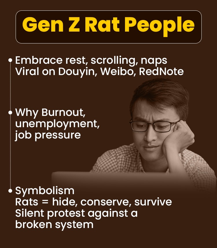 WhatsApp Image 2025-11-20 at 4.58.36 PM