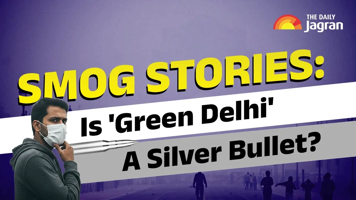 Smog Stories: How Much Green Cover Does Delhi Have? Is The Greenery Enough To Beat The ‘Toxic’ Air?