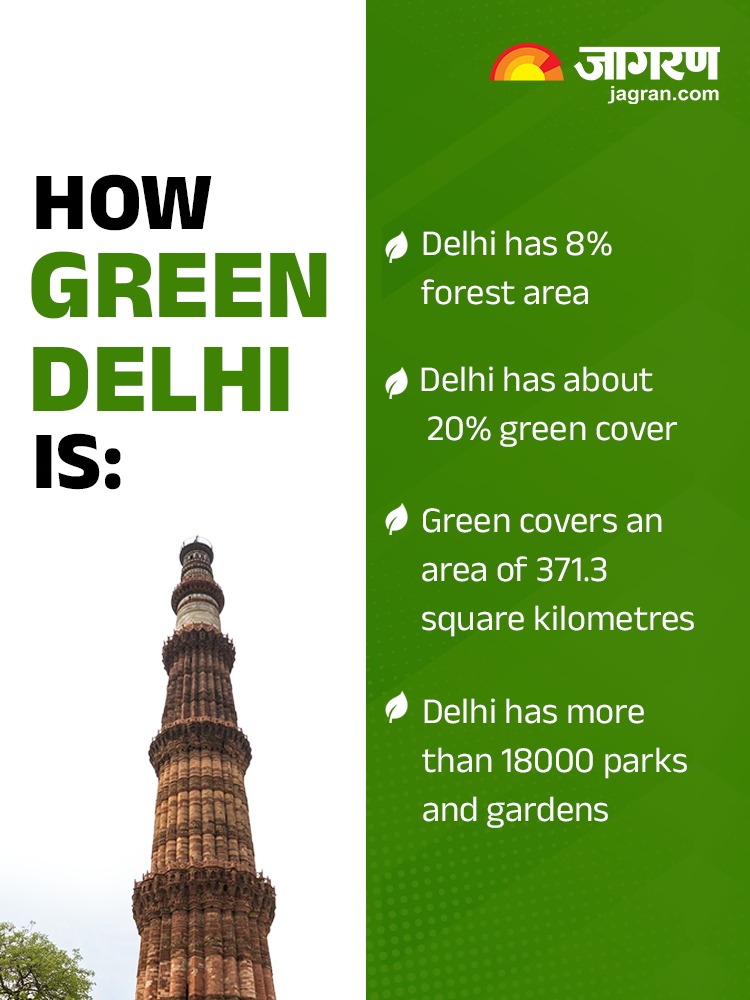 green delhi