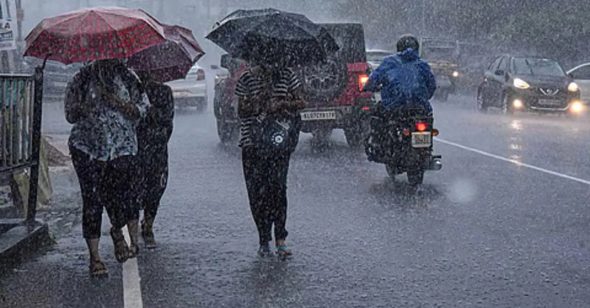 Weather Update: Dry Weather In Odisha, Light Rain In Tamil Nadu As Low-Pressure Likely To Intensify Into Cyclone; Check IMD Forecast