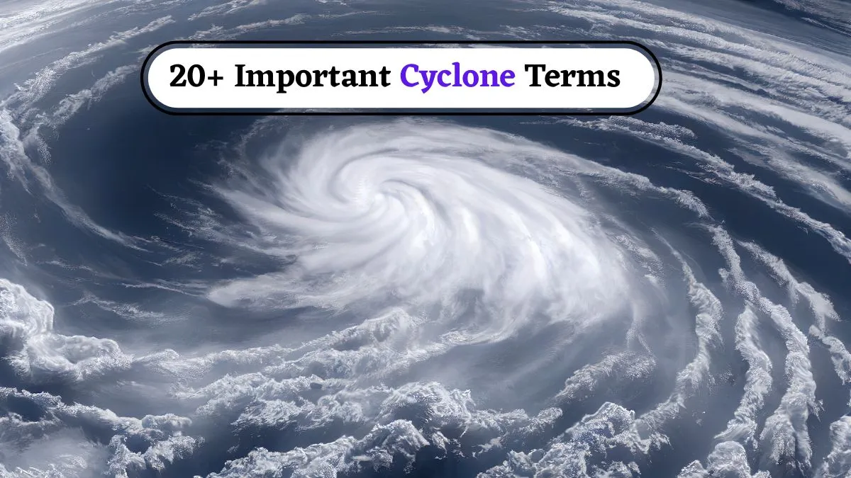 20+ Important Terms About Cyclones Everyone Should Know For Weather Safety