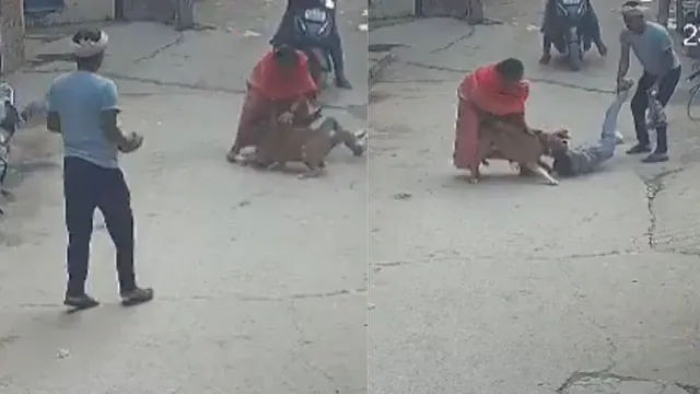 viral-video-pitbull-drags-and-bites-6-year-old-boy-in-delhi-owner-taken-into-custody