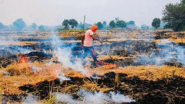 delhi-air-pollution-stubble-burning-not-main-cause-of-worsening-aqi-heres-key-contributors-to-poor-air-quality-in-ncr