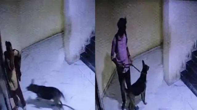 caught-on-camera-woman-attacked-by-pet-dog-in-rajkot-owner-slaps-victim-instead-of-helping