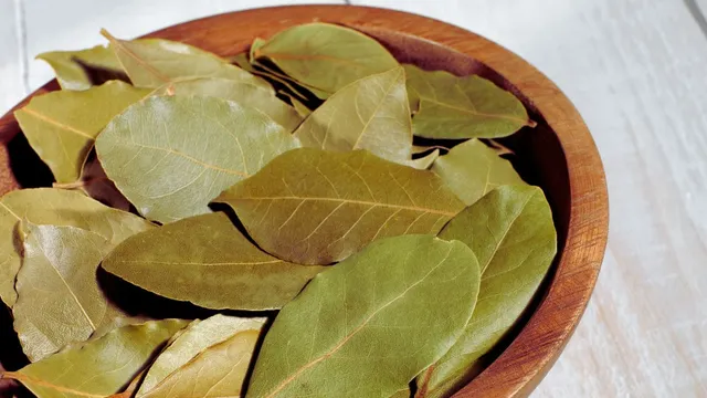 5-easy-ways-to-use-bay-leaf-or-tej-patta-to-make-your-wishes-come-true