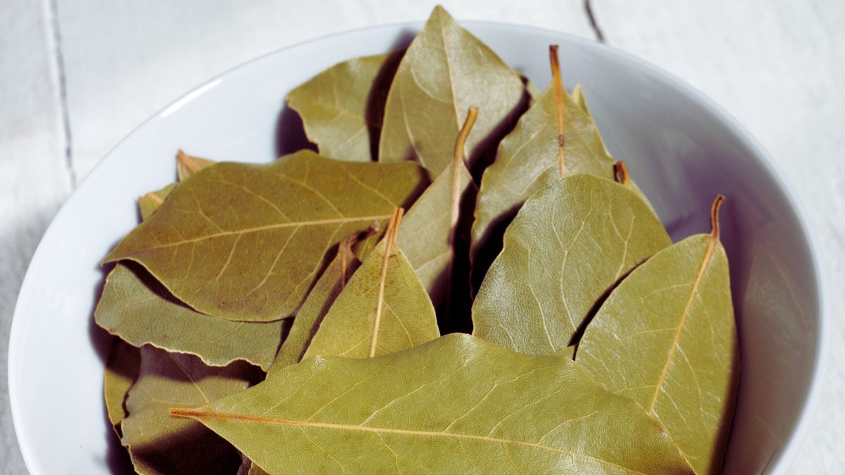 tej-patta-manifestation-rituals