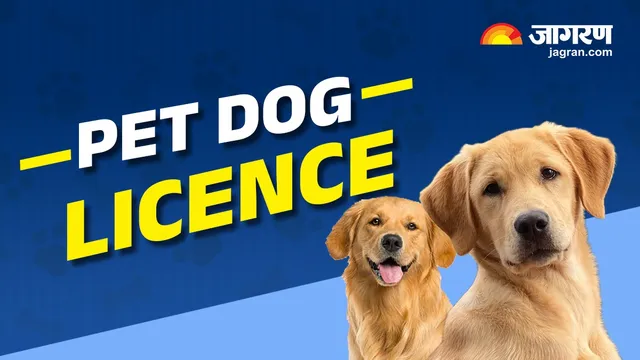 lucknow-lmc-tightens-pet-ownership-rules-check-how-to-apply-for-a-dog-licence-and-required-documents