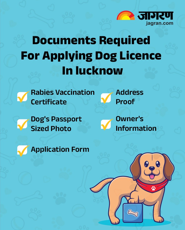 WhatsApp Image 2025-11-28 at 8.52.10 PM