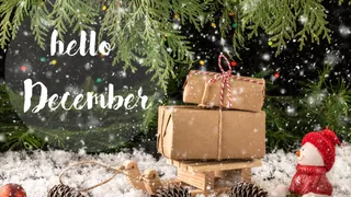December 2025 Special Days List: Upcoming Days, Festivals, Holidays, National And International Events