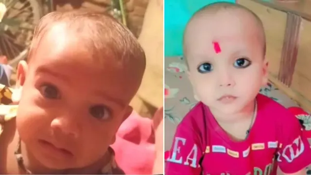 up-wolf-terror-returns-to-bahraich-2-children-killed-in-24-hours-28-forest-teams-on-hunt