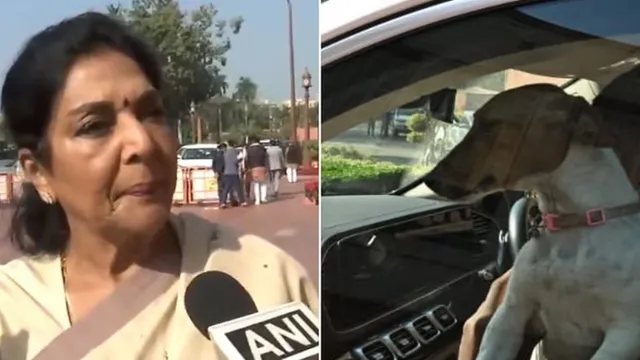 congress-mp-renuka-chowdhury-brings-puppy-to-parliament-claims-those-who-bite-sitting-inside-bjp-retorts