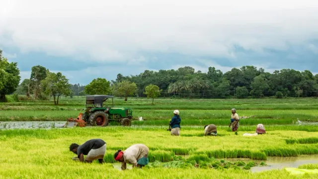 mp-farmers-block-mumbai-agra-highway-over-msp-loan-waiver-demands-section-144-imposed-in-dhar