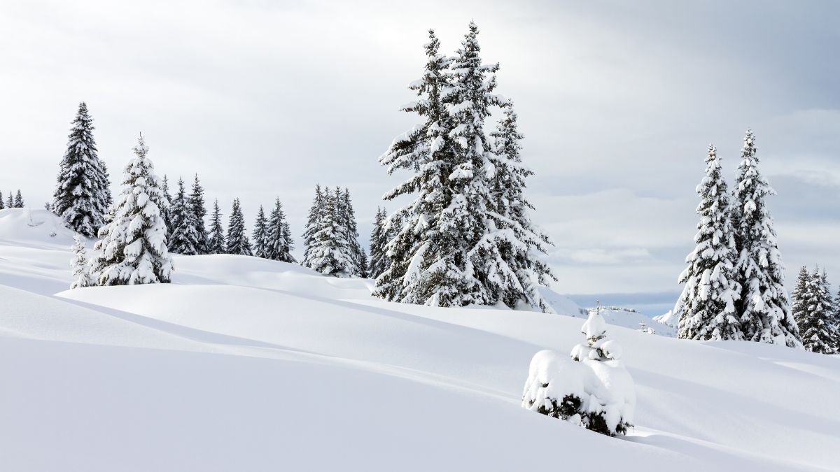 why ice looks transparent and snow looks white (1)