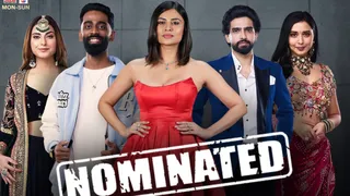 Bigg Boss 19 Week 15 Voting Lines Open: Save Your Favourite Finalists Farrhana, Amaal Or Tanya From Eviction Ahead Of Finale