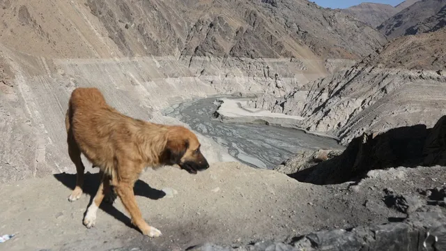 iran-warns-of-potential-evacuation-of-tehran-as-worstever-water-crisis-deepens