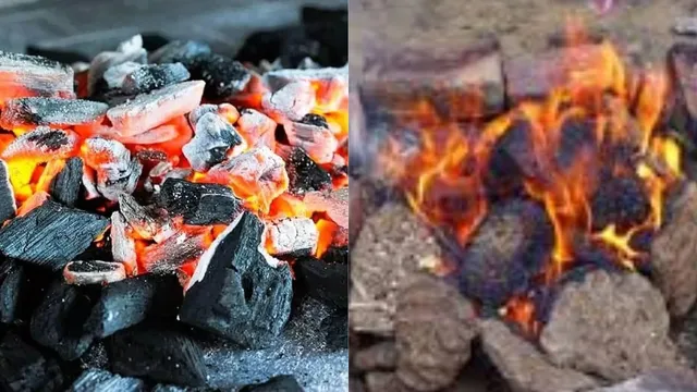 delhi-air-pollution-sc-objects-to-blaming-farmers-study-flags-coal-and-biomass-as-top-polluters