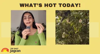 Varanasi’s Dirty Diaper Tree Leaves Internet Speechless, Viral Video Sparks Furious Debate | What's Hot Today