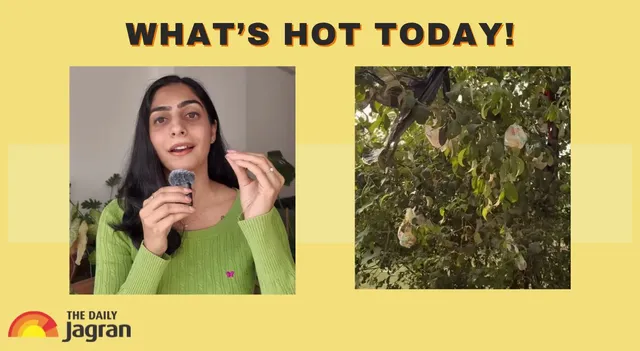 varanasi-dirty-diaper-tree-leaves-internet-speechless-viral-video-sparks-furious-debate-whats-hot-today