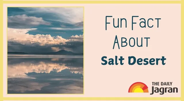 did-you-know-the-worlds-largest-natural-mirror-is-a-giant-salt-land-heres-the-fun-fact