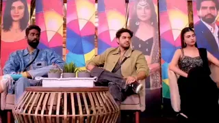 Bigg Boss 19 Top 3: Who Stays, Who Goes Ahead Of Finale? Netizens Predict
