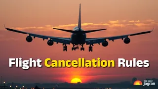 Flight Cancellation Rules: What To Do If Your Flight Is Cancelled Or Delayed? Check DGCA Provisions