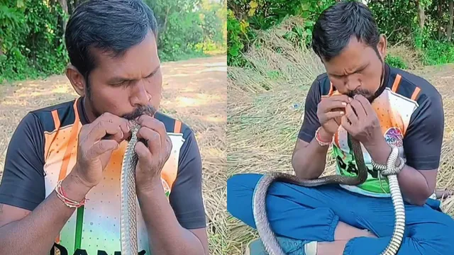 gujarat-man-performs-mouth-to-mouth-cpr-to-save-electrocuted-snake-internet-applauds-his-brave-act-video
