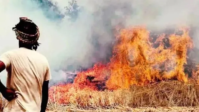 caqm-cracks-down-on-summer-farm-fires-punjab-and-haryana-directed-to-monitor-wheat-stubble-burning